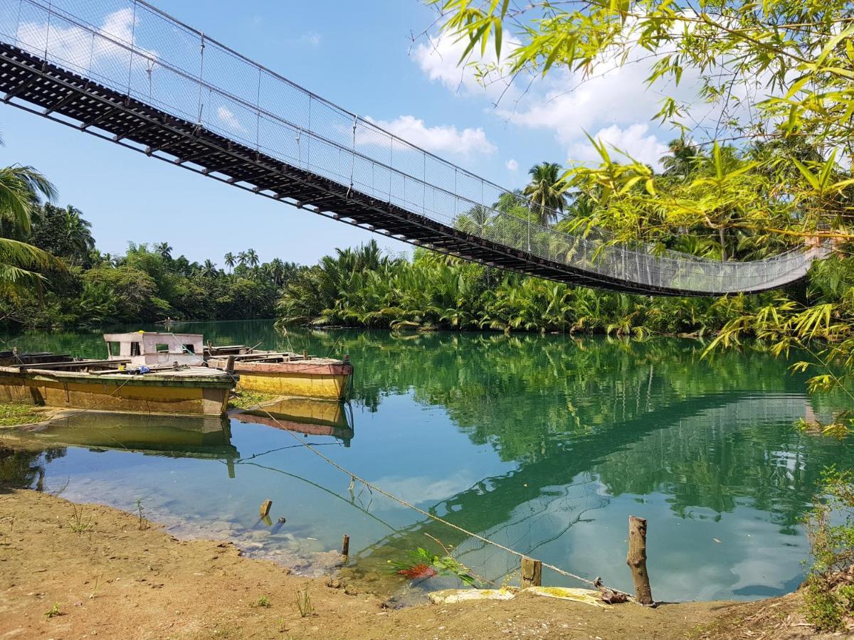 Loboc River Resort מראה חיצוני תמונה